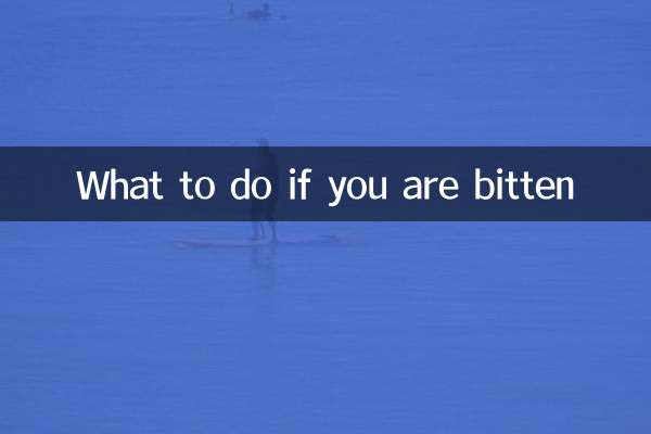 ماذا تفعل إذا تعرضت للعض