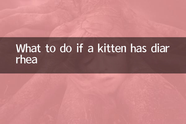 새끼 고양이가 설사를 하면 어떻게 해야 할까요?