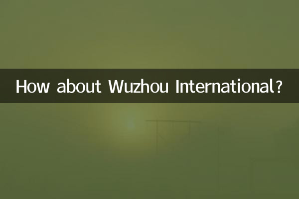 ماذا عن ووتشو الدولية؟