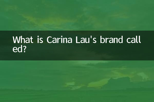 Como se chama a marca de Carina Lau?
