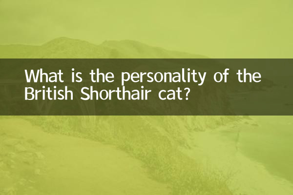 What is the personality of the British Shorthair cat?