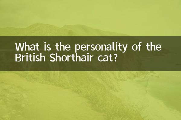 What is the personality of the British Shorthair cat?