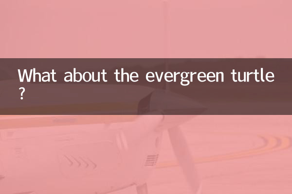 What about the evergreen turtle?