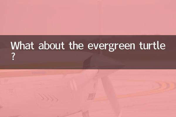 What about the evergreen turtle?