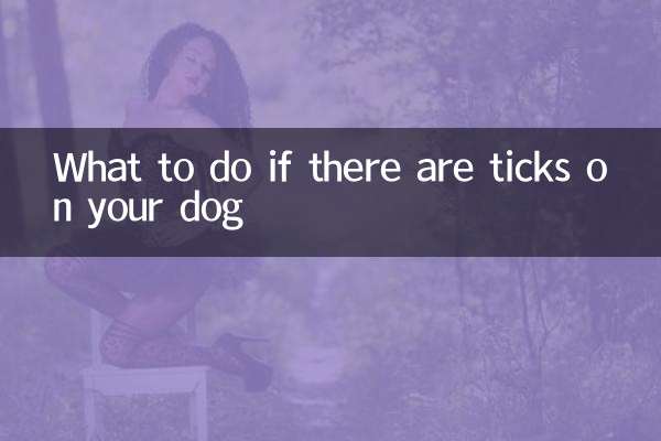 What to do if there are ticks on your dog