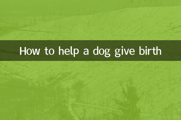 How to help a dog give birth