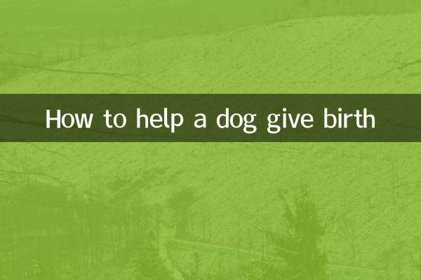 كيفية مساعدة الكلب على الولادة
