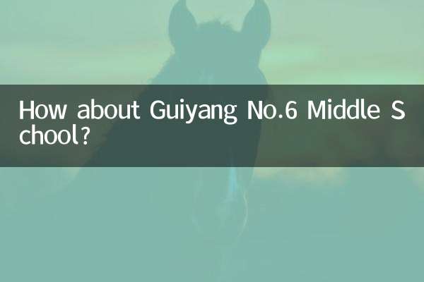 구이양 제6중학교는 어떻습니까?