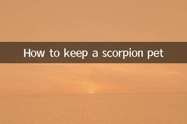 How to keep a scorpion pet