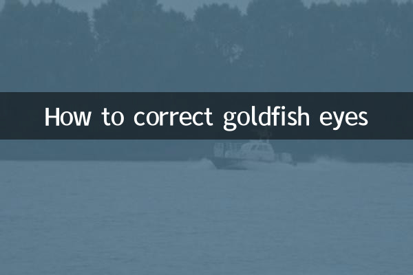 금붕어 눈 교정 방법