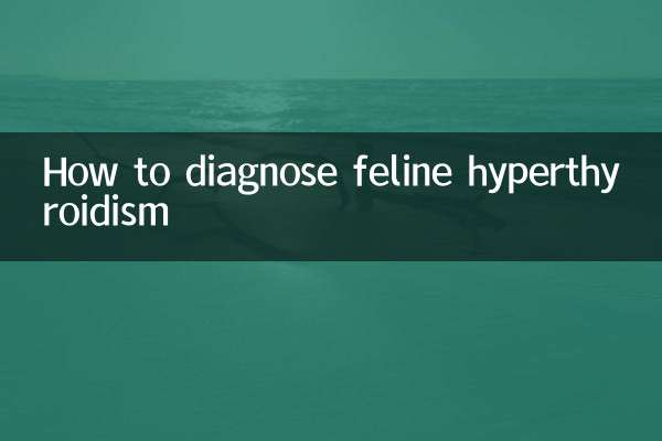 Cómo diagnosticar el hipertiroidismo felino