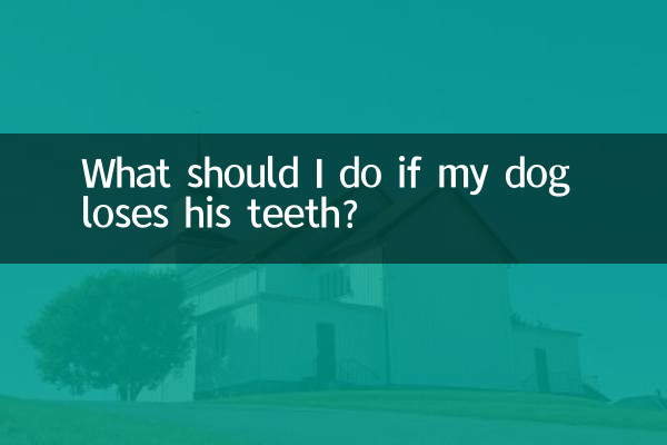犬が歯を失ったらどうすればよいですか?