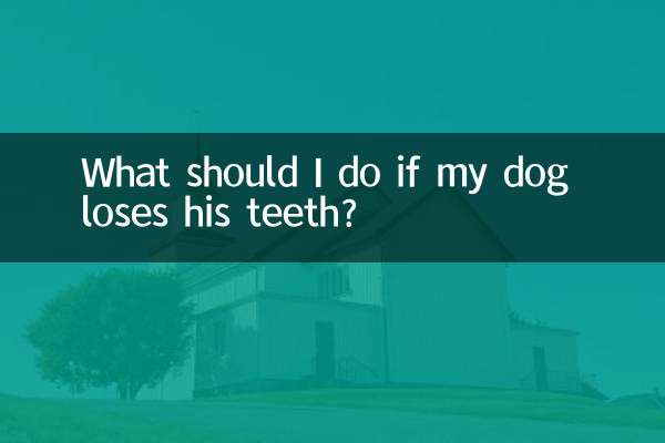 اگر میرا کتا دانت کھو دیتا ہے تو مجھے کیا کرنا چاہئے؟