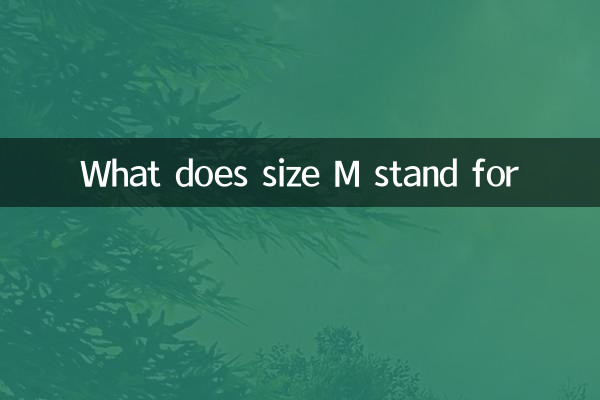 What does size M stand for