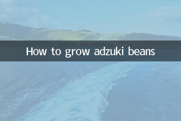 كيفية زراعة حبوب أدزوكي