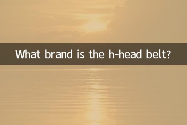 De quelle marque est la ceinture en H ?