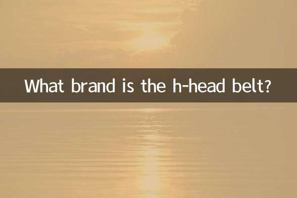 Hヘッドベルトってどこのブランドですか？