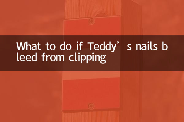 What to do if Teddy’s nails bleed from clipping