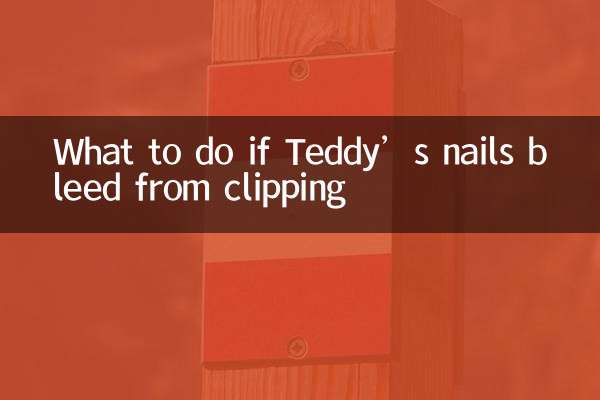 What to do if Teddy’s nails bleed from clipping