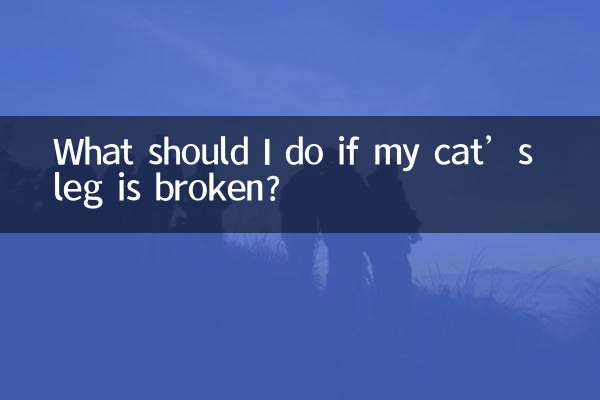 What should I do if my cat’s leg is broken?