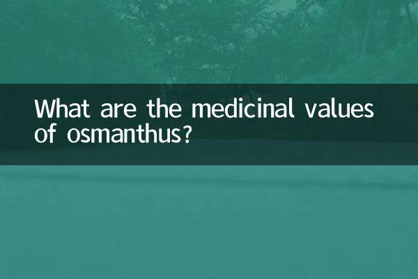 오스만투스의 약용 가치는 무엇입니까?