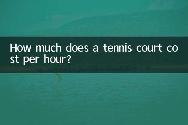 테니스 코트의 시간당 비용은 얼마입니까?