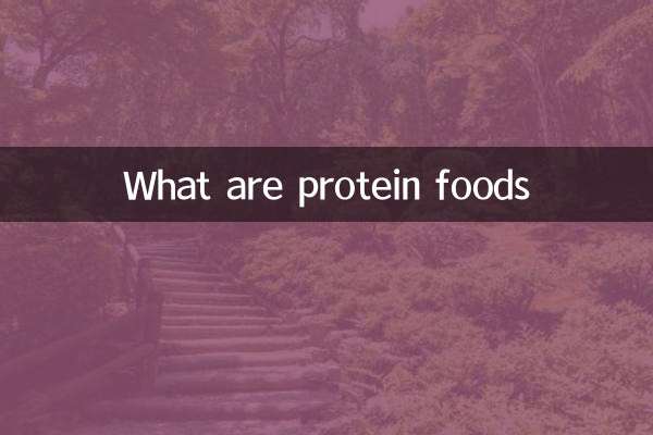 What are protein foods