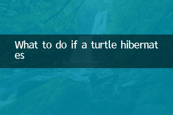 Qué hacer si una tortuga hiberna