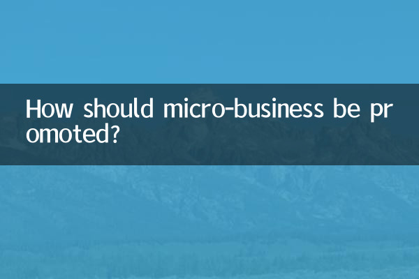 Como devem ser promovidas as microempresas?