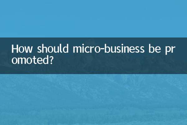 Como devem ser promovidas as microempresas?