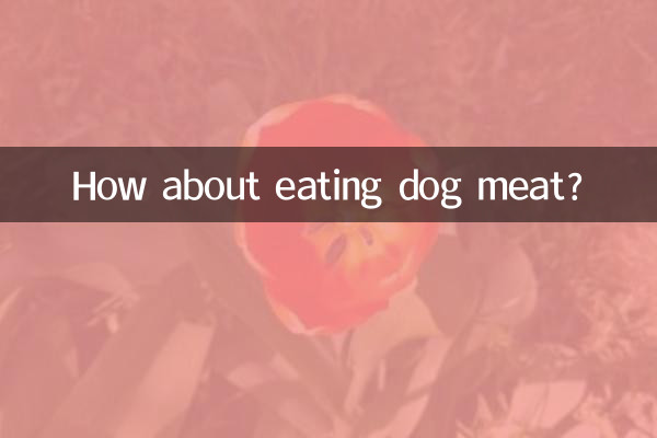 Que tal comer carne de cachorro?