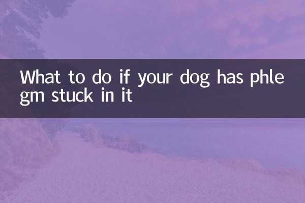 狗狗卡痰怎麼辦