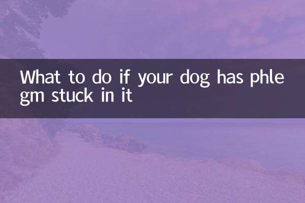 Was tun, wenn in Ihrem Hund Schleim steckt?