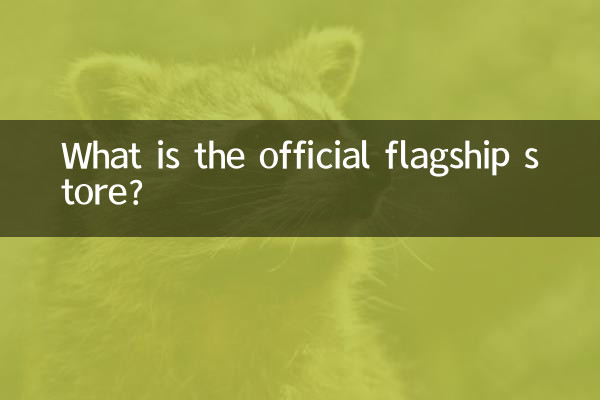 فروشگاه پرچمدار رسمی چیست؟