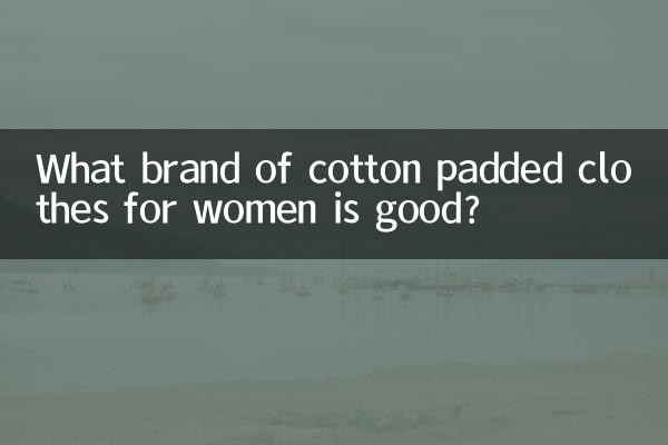 여성용 솜 패딩 의류 어떤 브랜드가 좋은가요?