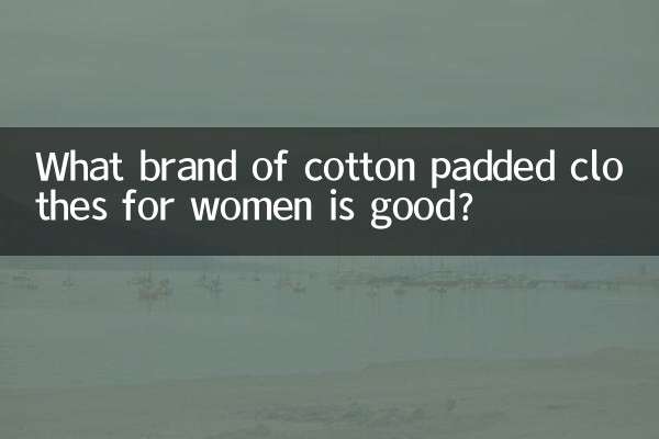 여성용 솜 패딩 의류 어떤 브랜드가 좋은가요?