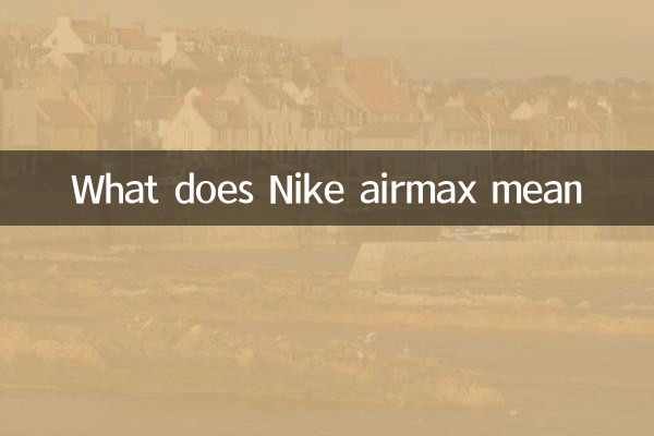 ماذا تعني Nike Airmax