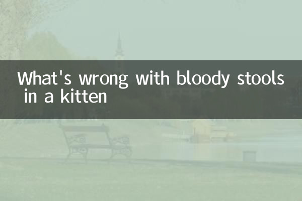 What's wrong with bloody stools in a kitten
