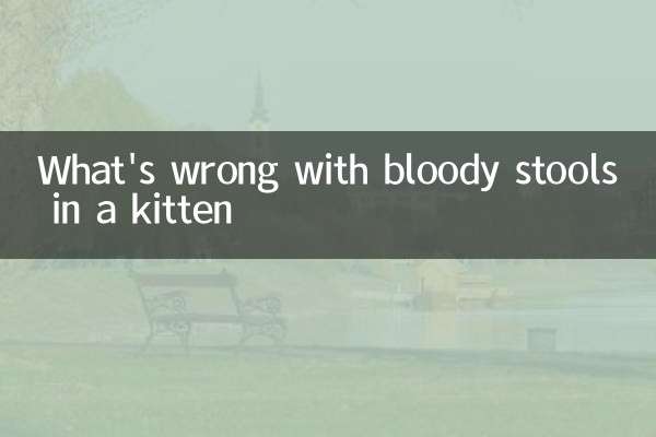 What's wrong with bloody stools in a kitten