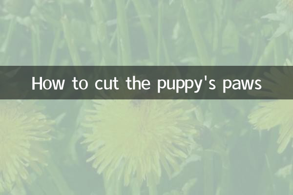 How to cut the puppy's paws