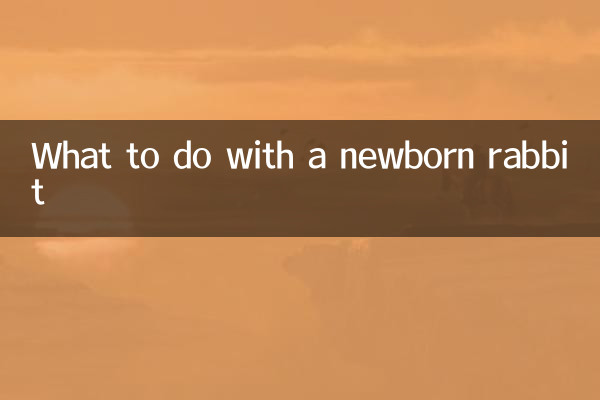 What to do with a newborn rabbit