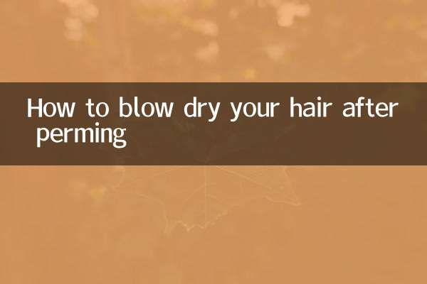 Cómo secarte el cabello con secador después de la permanente