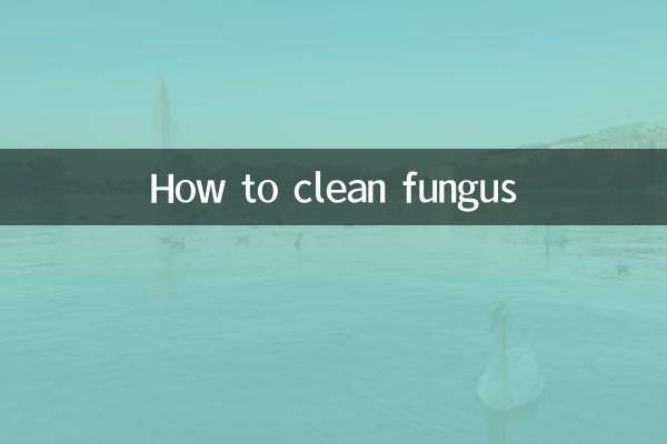 Come pulire i funghi