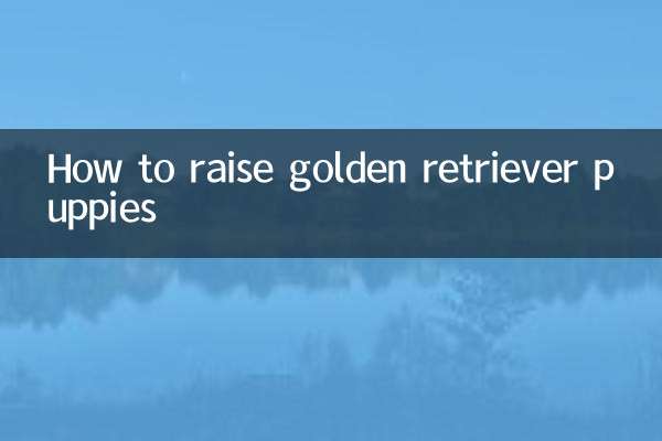 How to raise golden retriever puppies