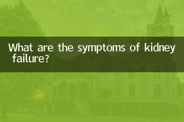 Was sind die Symptome eines Nierenversagens?