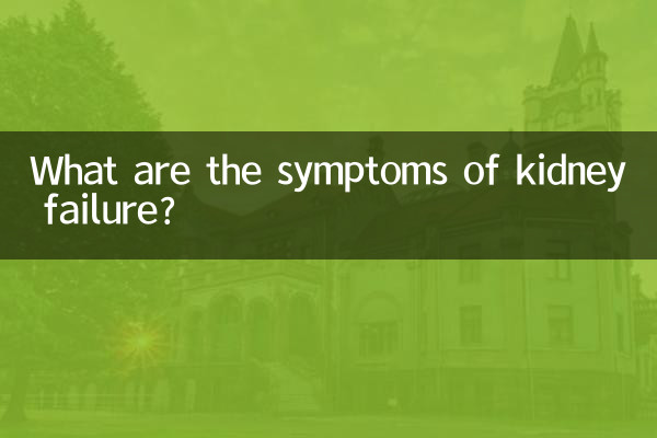 Was sind die Symptome eines Nierenversagens?