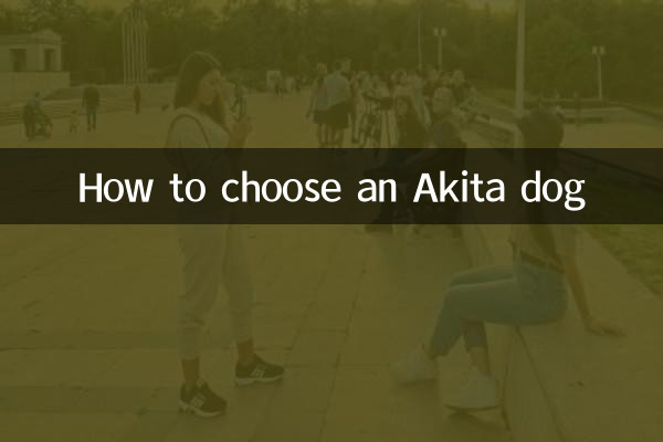 아키타견을 선택하는 방법