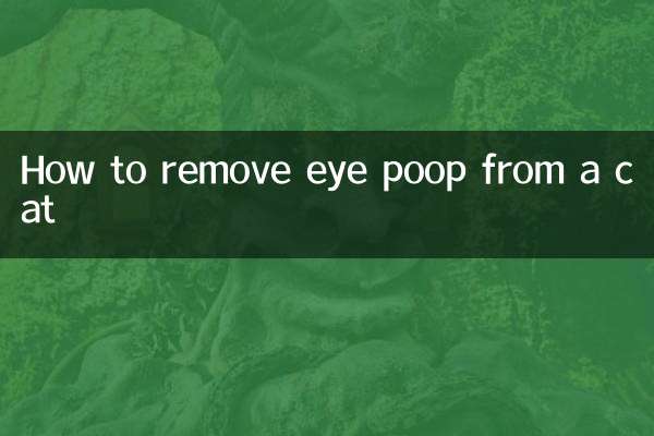 Как удалить слизь из глаз у кошки