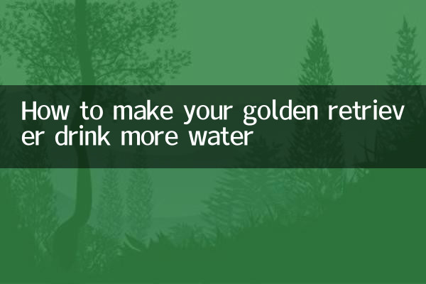 Comment faire boire plus d’eau à votre golden retriever