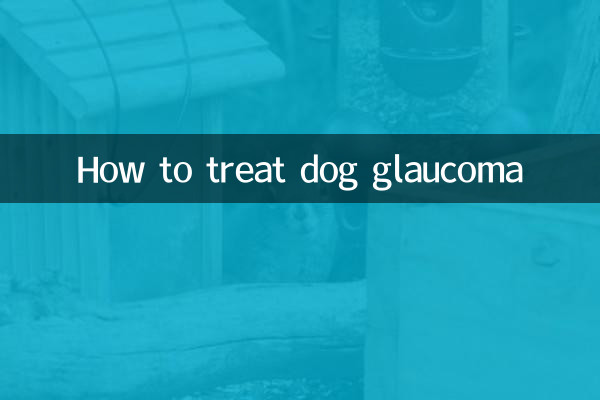 কুকুরের গ্লুকোমা কীভাবে চিকিত্সা করা যায়